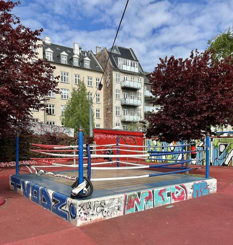 An outdoor boxing ring with colorful ropes and a wooden platform, surrounded by graffiti on walls. Red-leafed trees are nearby, with apartment buildings in the background under a partly cloudy sky.