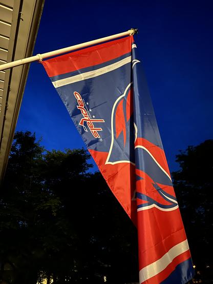 Washington Capitals flag flying over my house