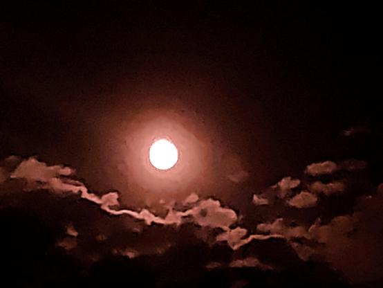 ..a red-washed moon shot .. coutesy of the "filters".. the subject is seen against the dark sky while, below somewhat, is a blanket of cloud reflecting its [redish] light, & caste partly in shadows..