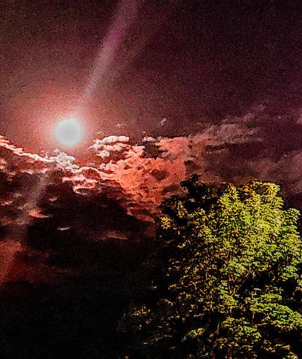 ..a red tinted sky of contrasting shadows & clouds with moon above is balanced by the green foliage of a tall tree in the right bottom corner of the image..