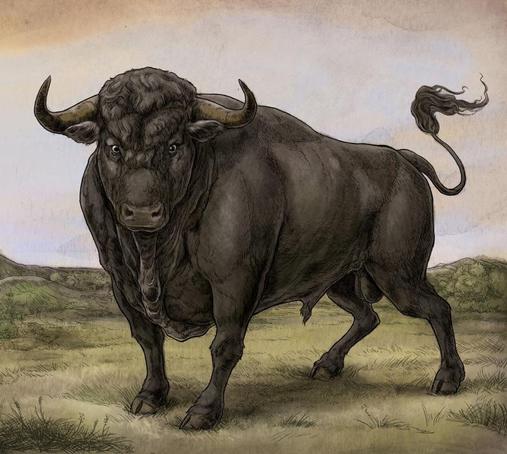An image of the cover of the album 'San Fermin' by San Fermin