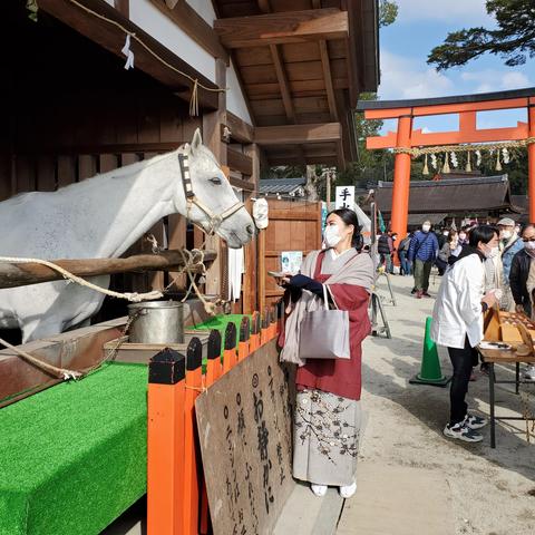 Nao-san feeds the 'sacred horse' at Kamigamo-jinja. The shrine is famed for its horse races in May, used to entertain the Kamo gods.