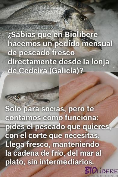 La imagen muestra pescado fresco sobre hielo. Un texto sobre la imagen anuncia que Biolíbere hace pedidos mensuales de pescado directamente de la lonja de Cedeira, Galicia. Se explica que este servicio es exclusivo para socias y permite pedir el tipo y corte de pescado deseado, manteniendo la cadena de frío desde el mar hasta el plato.