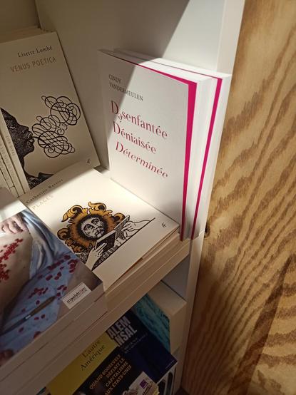 Photo d'un étagère de l'escale librairie avec Désenfantée Déniaisée Déterminée de Cindy Vandermeulen, Vénus poetica de Lisette Lombé, Plages de Catherine barsics