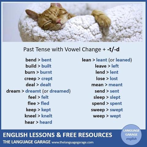 English strong/irregular verbs in the past tense, image of a sleeping cat