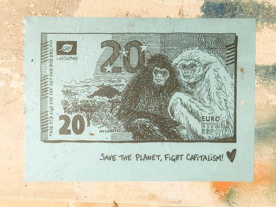 20€, Gibbon