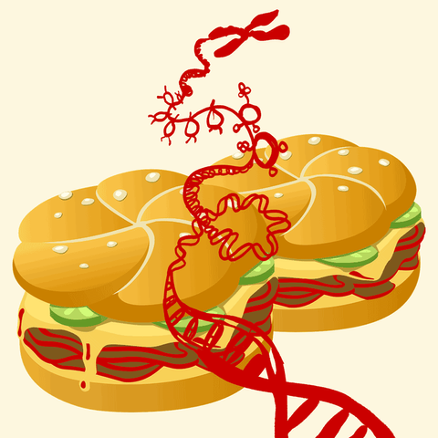 GE Burger