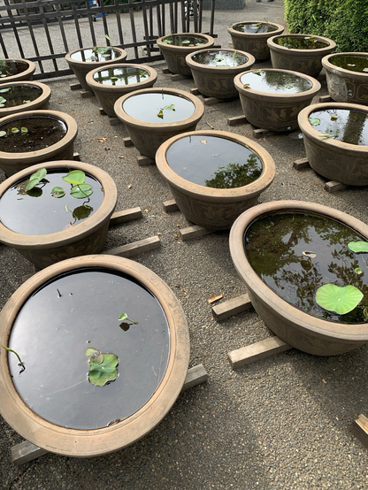 pots