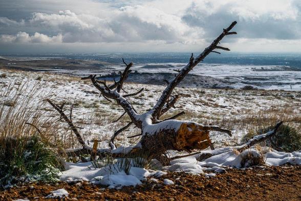 A snow-dusted, weathered tree trunk lies in a field of dry grass and rocky soil, overlooking a vast, open landscape under a partly cloudy sky. The view stretches across the plains toward a distant city skyline.