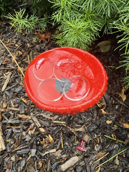A ceramic bowl, very small, about the size of a flower. Red.