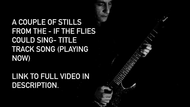Stills from Umbersounds “If The Flies Could Sing”
