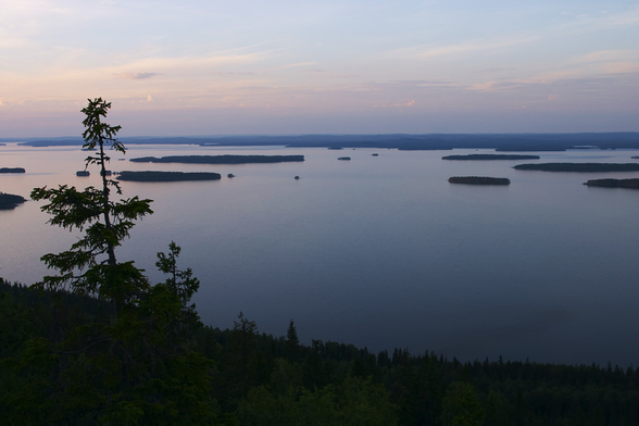 A beautiful summer view from Kole National Park, Joensuu from UEF WEBSITE Life in Finland