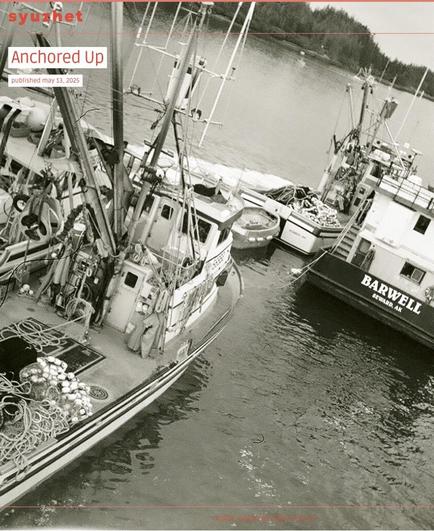 We were mid-way through the 2008 salmon season. The fleet was lined up for sets somewhere in Prince William Sound. Barwell, the tender boat, was offloading. Rather than drop the anchor between sets, most boats preferred to tie up alongside another anchored vessel. Clustered seiners formed mechanical islands on the calm water. 