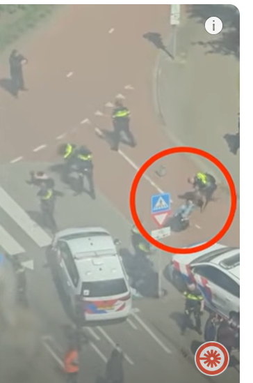Foto genomen vanuit het Erasmusgebouw, Radboud Universiteit Nijmegen. 
De politieagenten staan op de Heyendaalseweg, grenzend aan het kruispunt (de rotonde)  ter hoogte van de Erasmuslaan. De locatie van de politieinzet met hond is tussen de twee universiteitsgebouwen (Elinor Ostromgebouw en Erasmusgebouw) in.  