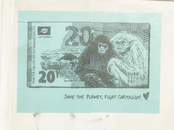 20€, gibbons