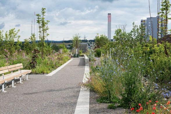 Un parc de rocaille