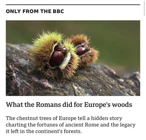 ONLY FROM THE BBC
What the Romans did for Europe's woods
The chestnut trees of Europe tell a hidden story
charting the fortunes of ancient Rome and the legacy
it left in the continent's forests.