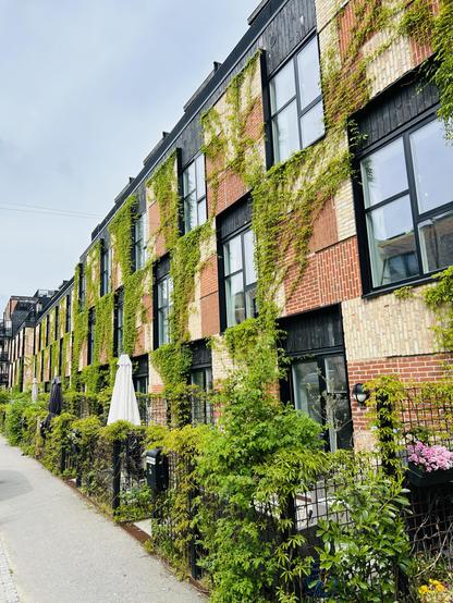 A modern building facade covered in greenery, featuring a mix of brick and wood materials. Large windows line the structure, and a path is visible in the foreground with plants and outdoor decoration elements like parasols.