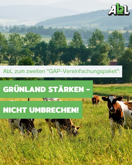 🇪🇺 Die EU-Kommission plant, erneut wichtige Umweltstandards in der Gemeinsamen Agrarpolitik der EU abzubauen. Diesmal trifft es den Schutz des Grünlands – dabei ist genau dieser zentral für den Klimaschutz und den Erhalt der Artenvielfalt 🌱🦋  👉 Die vom Deutschen Bundestag beschlossene zusätzlich Öko-Regelung für die Weidehaltung von Milchkühen muss jetzt endlich vom neuen Bundeslandwirtschaftsminister Alois Rainer umgesetzt werden, um das Grünland in Deutschland wirtschaftlich zu stärken 🐄  Wir sagen: Ein "Vereinfachungspaket", das vor allem Umweltstandards streicht, ist keine Lösung – sondern ein Rückschritt 📉  #Weidehaltung #Grünland #GAP #GemeinsameAgrarpolitik #Agrarpolitik #EU #Europa #Milchkühe #Landwirtschaft #Umweltschutz #Klimaschutz #Artenvielfalt #bäuerlich #JederHofzählt