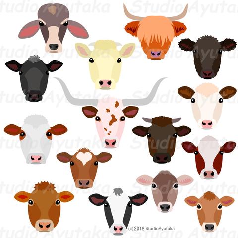 a bundle of clipart of 15 cow heads.