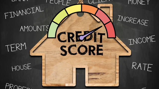 A Guide to Understanding Your Credit Score