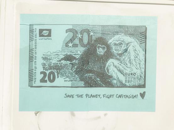 20€, gibbons