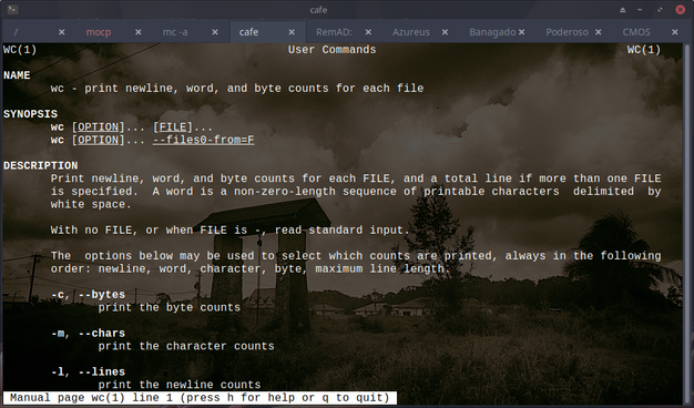 The image shows a terminal window displaying the manual page for the wc command, which is used to print newline, word, and byte counts for each file. The terminal window is set against a dark background with a sepia-toned image of a landscape, including trees and a cloudy sky. The title bar at the top of the window shows the current directory as "/cafe" and includes several tabs such as "mocp," "mc-a," "Azureus," "Banagado," "Poderoso," and "CMOS." The manual page for wc is titled "WC(1)" and includes sections for NAME, SYNOPSIS, DESCRIPTION, and OPTIONS. The NAME section states that wc prints newline, word, and byte counts for each file. The SYNOPSIS section shows the command syntax, and the DESCRIPTION section explains the functionality of wc. The OPTIONS section lists various options for selecting which counts are printed, such as -c for byte counts, -m or --chars for character counts, and -l or --lines for newline counts. The bottom of the manual page includes a prompt for help or quitting, with the text "Manual page wc(1) line 1 (press h for help or q to quit)."

Ovis2-8B

🌱 Energy used: 0.275 Wh
