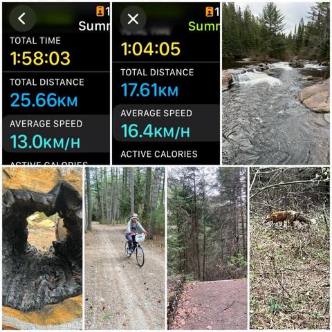 Grid of two iOS screenshots and five photos.

1) Apple Fitness Cycling Details:
Total Time: 1:58:03.
Total Distance: 25.66 KM.
Average Speed: 13.0 KM/H.

2) Apple Fitness Cycling Details:
Total Time: 1:04:05.
Total Distance: 17.61.
Average Speed: 16.4 KM/H.

3) Small waterfall in a pine forest under a grey sky, taken from a bridge.

4) Sliced large tree trunk that has been burned from the centre outwards.

5) TAV on her bike on the old railway path.

6) Bridge remains with pine forest beyond.

7) Highly-zoomed in red fox walking through the forest.
