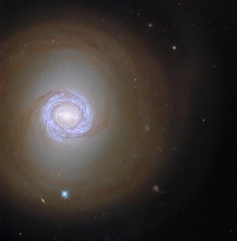 A spiral galaxy seen face-on.

In this image, the NASA/ESA Hubble Space Telescope peers into the spiral galaxy NGC 1317 in the constellation Fornax, located more than 50 million light-years from Earth. Visible in this galaxy image is a bright blue ring that hosts hot, young stars. NGC 1317 is one of a pair, but its rowdy larger neighbor, NGC 1316, lies outside Hubble’s field of view. Despite the absence of its neighboring galaxy, this image finds NGC 1317 accompanied by two objects from very different parts of the universe. The bright point ringed with a crisscross pattern is a star from our own galaxy surrounded by diffraction spikes, whereas the redder elongated smudge is a distant galaxy lying far beyond NGC 1317.