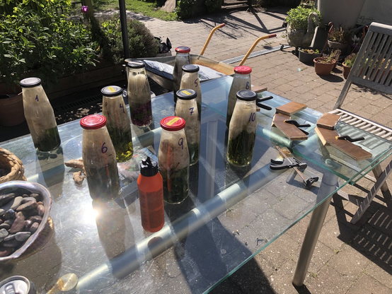 Glasbordet i haven er fyldt med flasker. De står jævnt spreder for ikke at skygge for hinanden. Til venstre på bordet stir en stor muslingeskal fyldt med de sten jeg polerede. Til højre på bordet ligger nogle træstykker der er ved at blive limet sammen. 