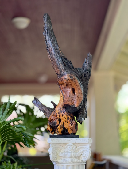 Freeform wood sculpture