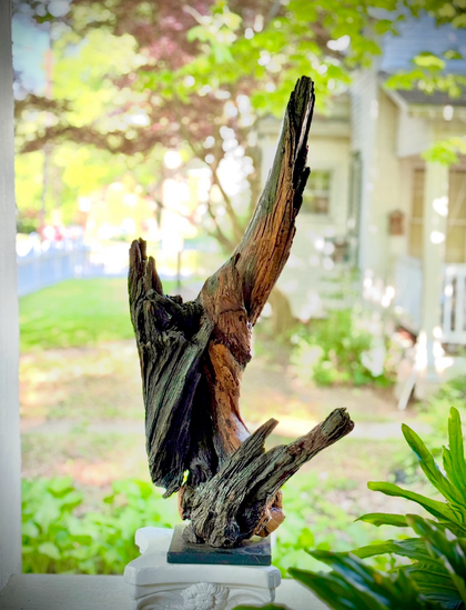 Freeform wood sculpture