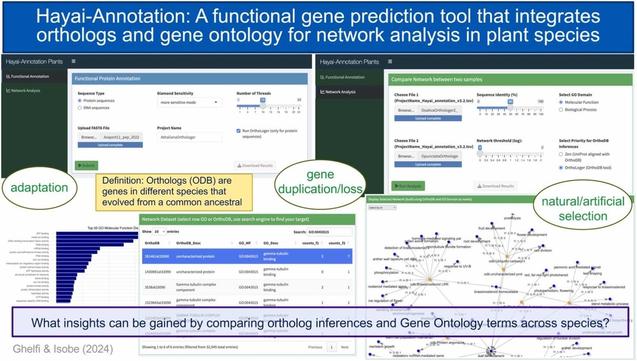 Hayai-Annotation: A functional gene prediction tool that integrates orthologs and gene ontology for network analysis in plant species. Computational and Structural Biotechnology Journal, DOI: https://doi.org/10.1016/j.csbj.2024.12.011