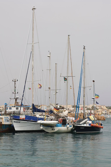 Drei Segelschiffe - NADIR, TROTAMAR III, DAKINI - liegen im Päckchen am Fischkutter ZEUS im Hafen von Lampedusa.