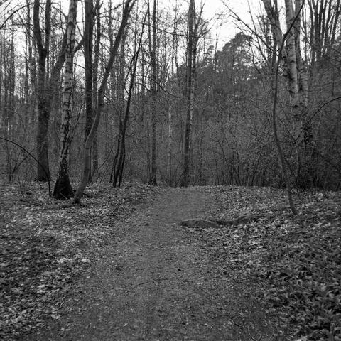 A path through a forest in early spring before the trees have grown a lot of leaves back. A medium sized rock is located on one side of the path, in a spot that can be easy to miss.
