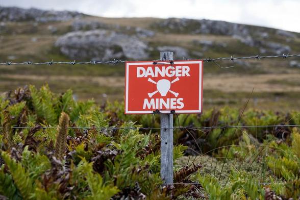 Tiny Detectives: Microbes Sense TNT, Arsenic, Hidden Dangers.