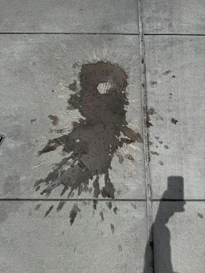 A section of the sidewalk where coffee was spilled and is drying up. You can also see a shadow of my hand while I took this photo. 