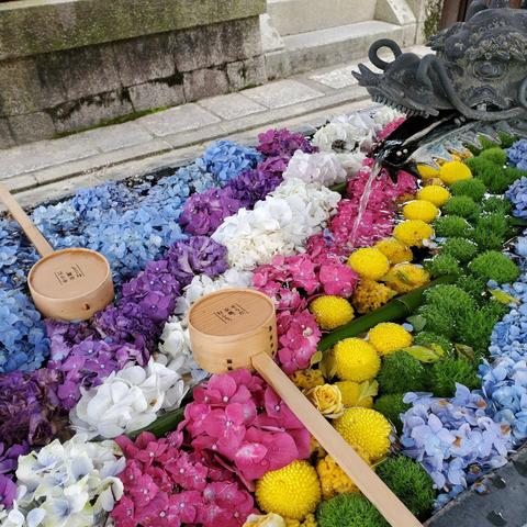 Flowers are used to decorate a wash basin at Yokoku-ji.