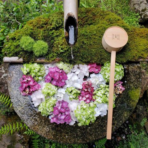 Flowers are used to decorate a wash basin at Yokoku-ji.