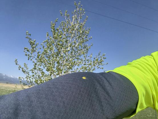 Close up of a spot of yellow pollen on a gray jersey sleeve.