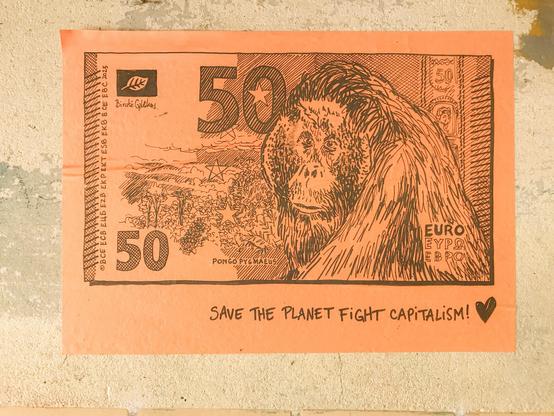 50€, Orang-outan