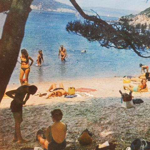 Carte postale, vue de baigneurs sur une plage à l'ombre d'un pin. Un type clope au bec et slip de bain dans l'eau, une dame allongée en maillot vert regarde l'objectif.