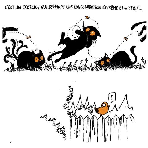 Texte off: "C'est un exercice qui demande une concentration extrême et... et qui..."
On voit le chat bondir dans tous les sens, tentant toujours d'attraper le papillon, jusqu'à sortir du cadre.

L'oiseau sur la clôture tourne la tête étonné, comme s'il avait vaguement entendu quelque chose.
