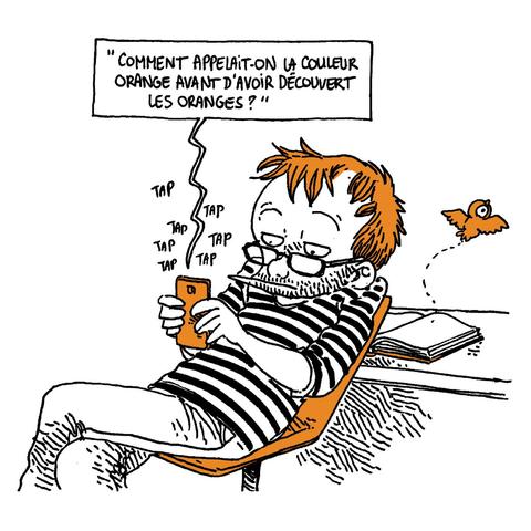 On se rend compte que Boulet a totalement négligé son carnet pour son téléphone (d'où symboliquement s'échappe le petit oiseau), et il tape une recherche "Comment appelait-on la couleur orange avant d'avoir découvert les oranges ?"