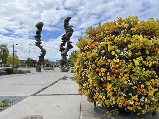 Twisted columns beside a colourful yellow and orange ball of flowers.