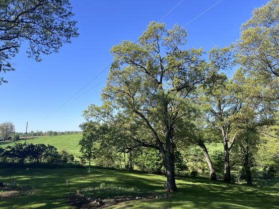 Looking at our side yard from the deck; the oaks are all leafed out and the grass and hills beyond are bright green. In the foreground a colorful spinner turns.
