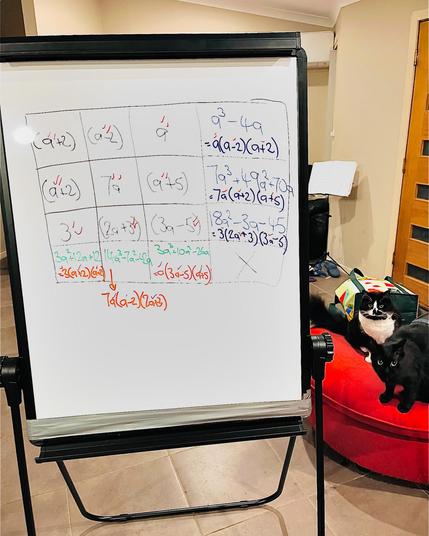 Imagine stepping into a warmly lit living room on a rainy Friday night. In the center stands a white flip chart, its edges reinforced with tape after a rough delivery.

The board features a hand-drawn yohaku algebra puzzle: a neat 3x3 grid filled with expressions like (a + 2), 7a, (2a + 3), and (3a – 5). At the bottom and right side, products like “3a² + 12a + 12 = 3(a + 2)(a + 2)” challenge you further.

As you trace the lines, the cool surface beneath your fingertips feels familiar. Would you start with the bottom row or the right column? Would you start with the bottom row, or tackle the right column first? Badger, the black-and-white tuxedo cat, sits perched on a red ottoman, studies you with bright, curious eyes as if asking, “Are you sure about that factorisation?” 


Nearby, Rīx, the sleek black cat, crouches with tail flicking, ready to pounce on a stray marker cap or perhaps leap into the maths fun. The gentle patter of rain outside and the soft glow of the lamp create a cosy atmosphere.


Do you feel a mix of determination and amusement as you puzzle through, patched board and all? If you were here, would you hand Badger a marker for feline assistance, or just enjoy the playful company as you dive into this Friday night factoring adventure? 


What’s your next move-will you solve the algebraic challenge before the cats get bored, or will their antics win your attention first?