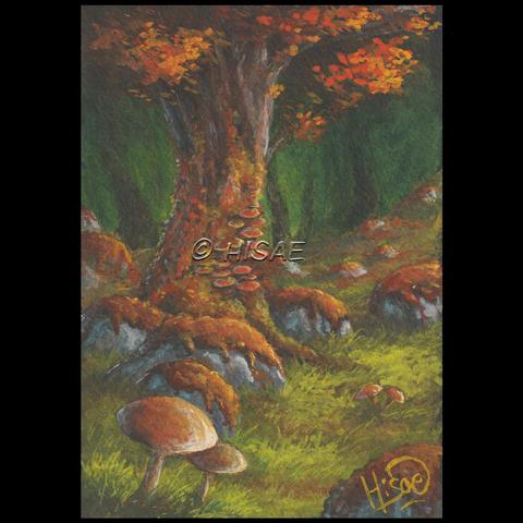 Peinture gouache représentant une forêt en automne et particulièrement un arbre dont le tronc est parsemé de champignons.