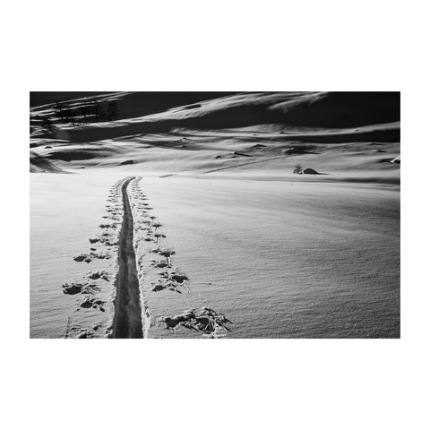 Breaking the trail during a ski your after a good snow fall.