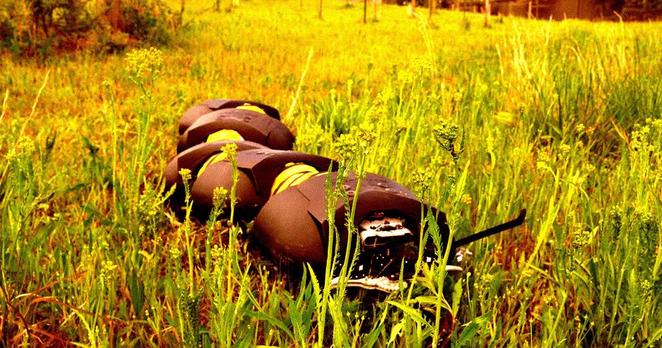 Creepy Robot Centipede Kills Weeds, Eyes Military Use.